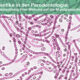 Probiotika in der Parodontologie: Eine Betrachtung ihrer Wirkung auf die Mundgesundheit